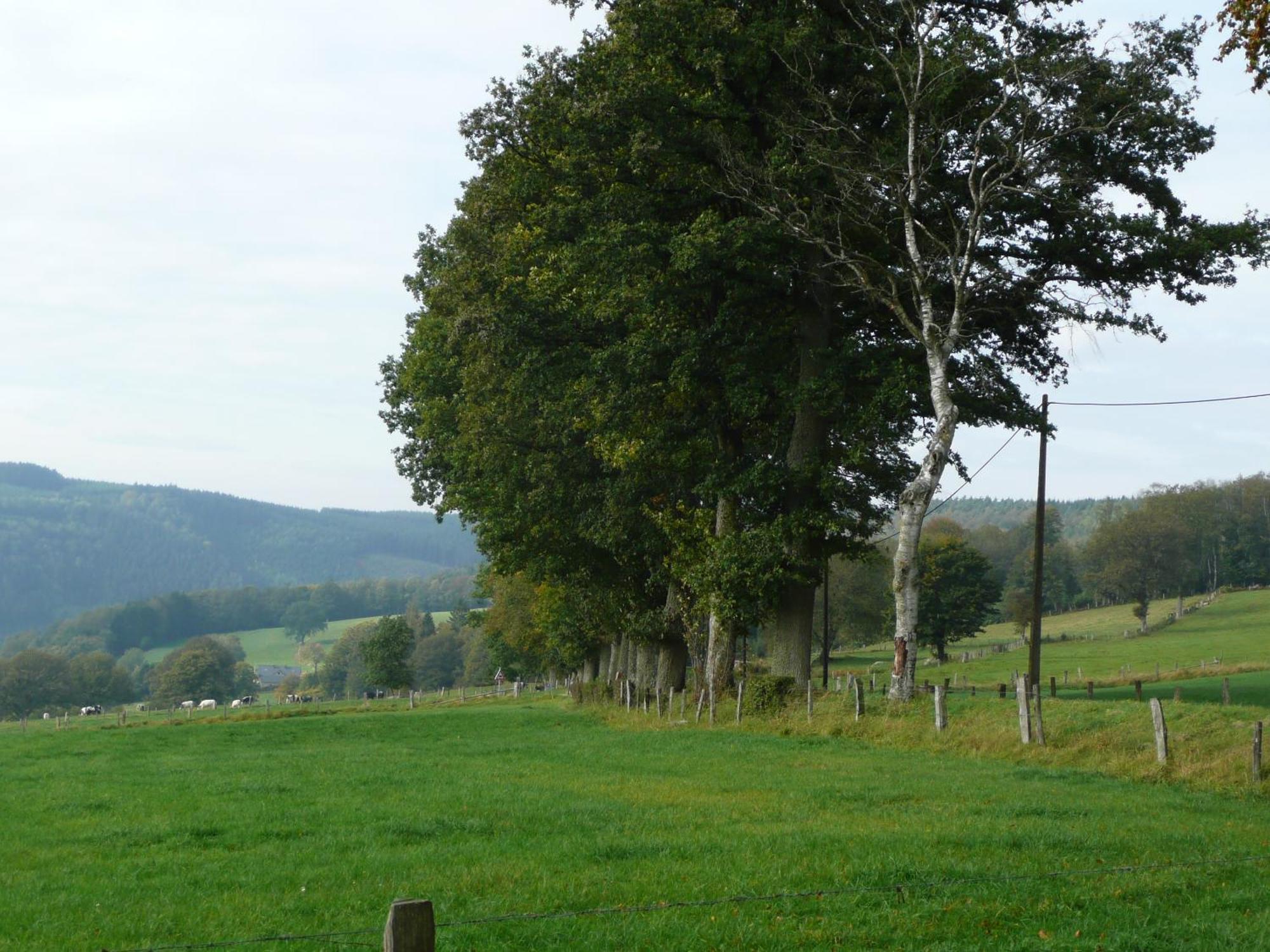 Le Fournil Gite Rural Trois-Ponts Luaran gambar